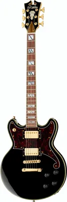 DAngelico Deluxe Brighton Black