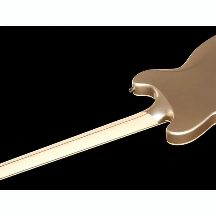 DAngelico Deluxe Brighton Desert Gold – photo 10
