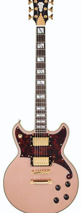 DAngelico Deluxe Brighton LTD Matte RG