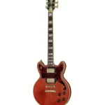 DAngelico Deluxe Brighton Matte Walnut (Guitare électrique) Test, Avis & Comparatif