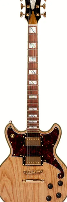DAngelico Deluxe Brighton NSA