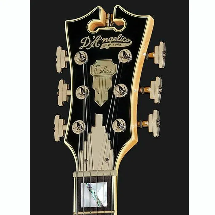 DAngelico Deluxe Brighton VSB – photo 8
