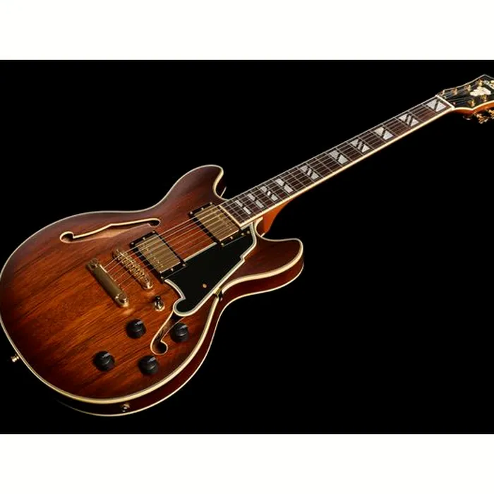 DAngelico Deluxe Mini DC Satin Brown Bur – photo 11