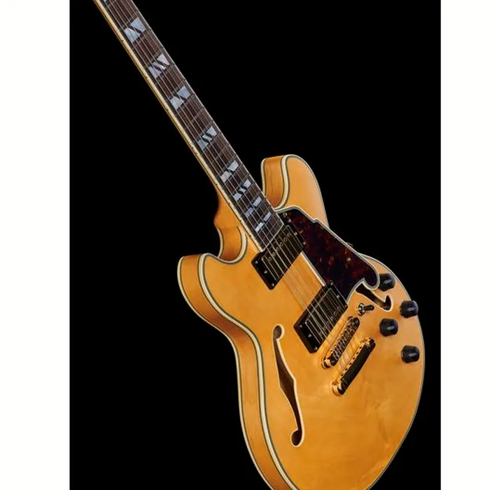 DAngelico Deluxe Mini DC Satin Honey – photo 12