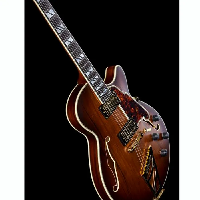 DAngelico Deluxe SS Satin Brown Burst – photo 12