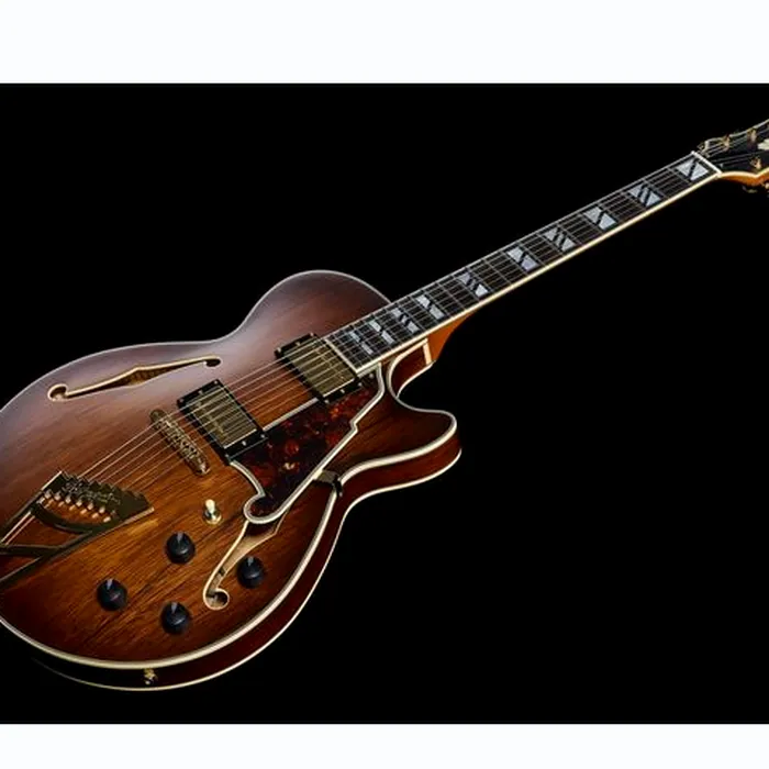 DAngelico Deluxe SS Satin Brown Burst – photo 11