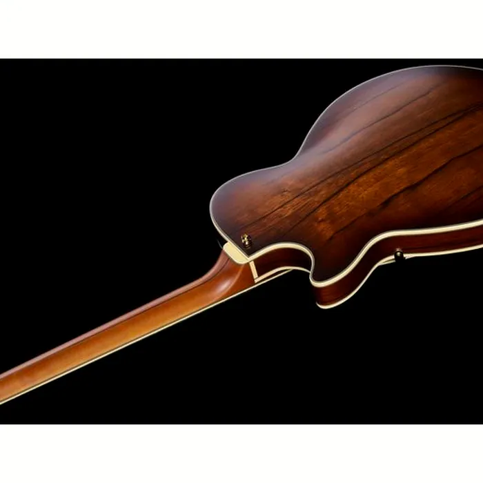 DAngelico Deluxe SS Satin Brown Burst – photo 10