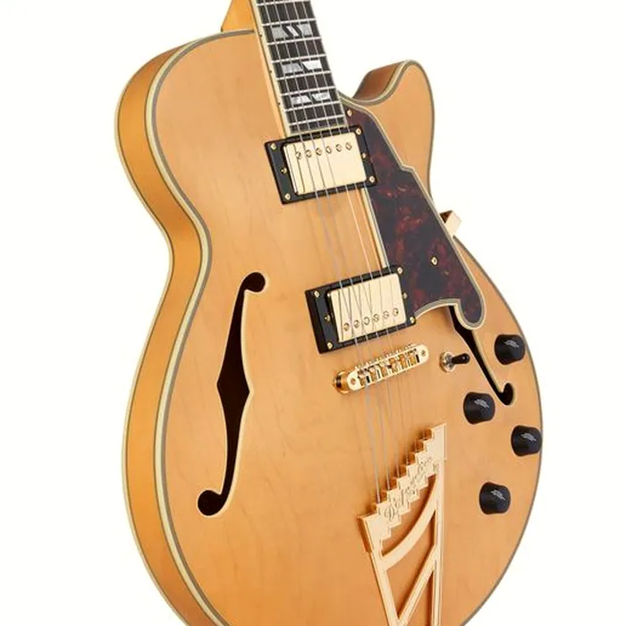 DAngelico Deluxe SS Satin Honey – photo 7