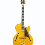 Avis guitare électrique DAngelico Excel 16 Amber