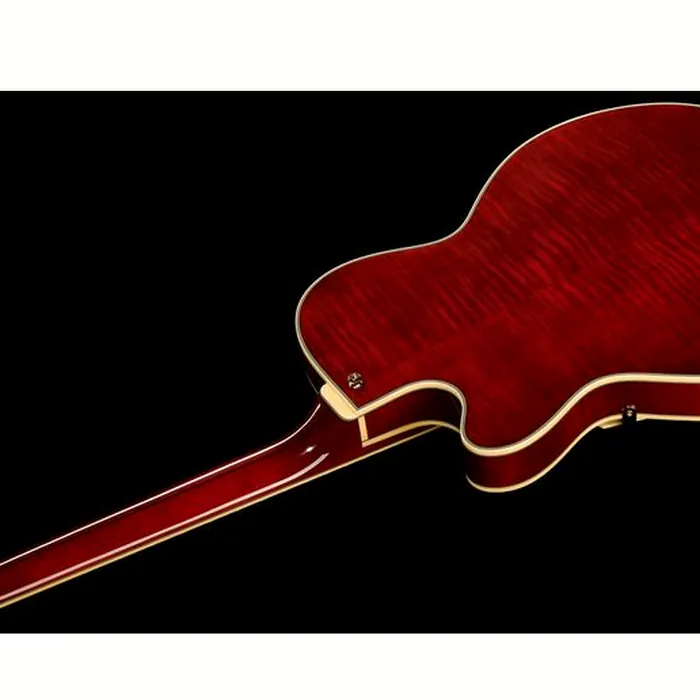 DAngelico Excel 59 Viola – photo 11