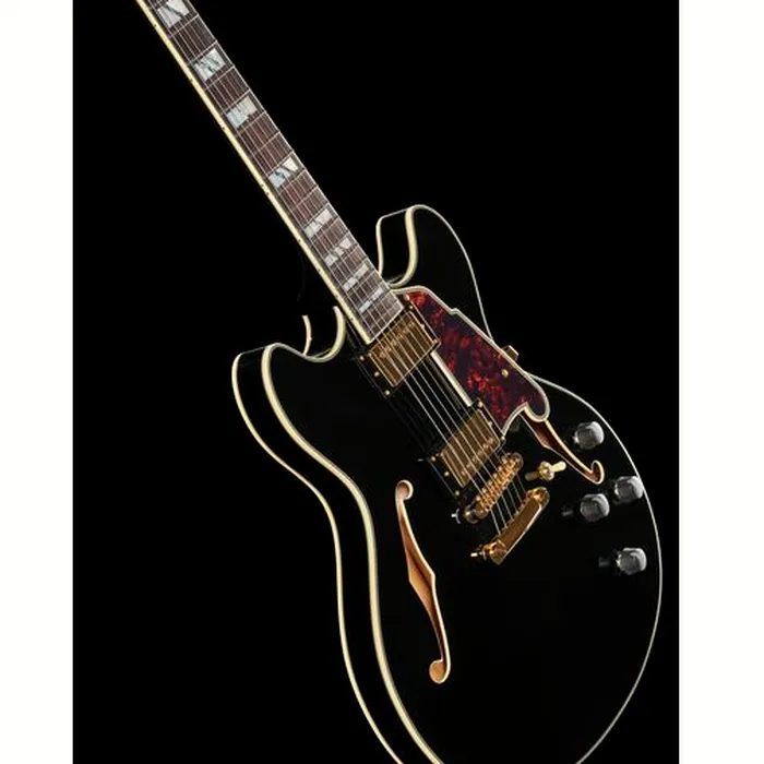 DAngelico Excel DC Solid Black – photo 12