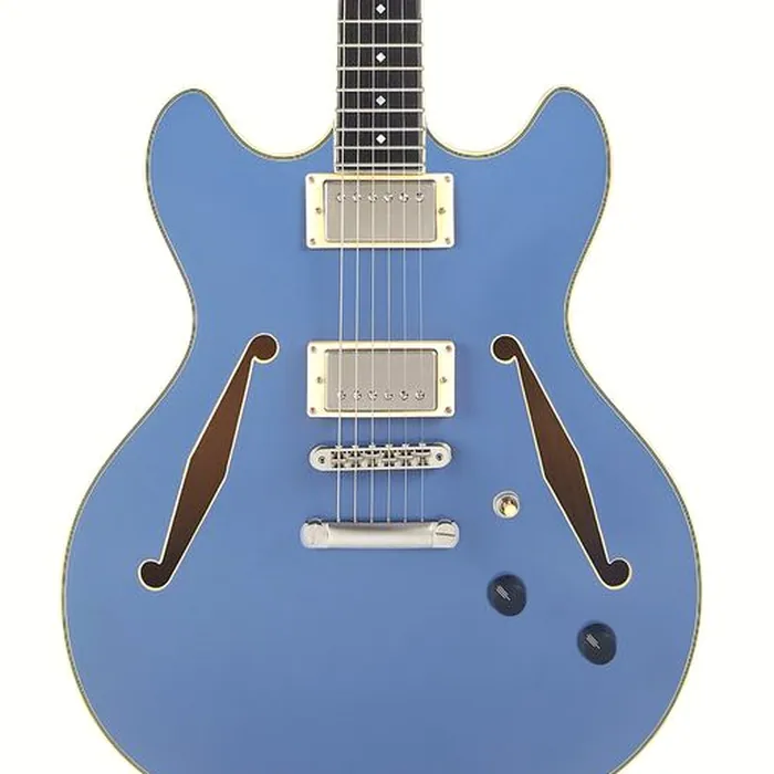 DAngelico Excel DC Tour Slate Blue – photo 6