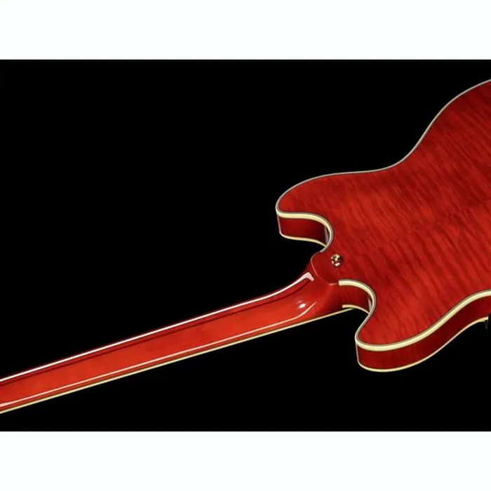DAngelico Excel DC Viola – photo 10