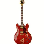 Guitare électrique DAngelico Excel DC Viola Avis, Test