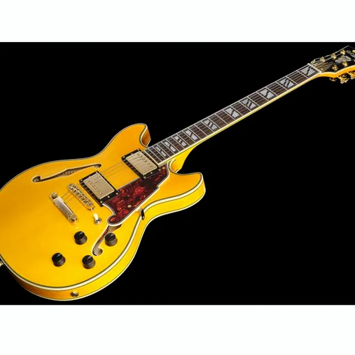 DAngelico Excel Mini DC Amber – photo 10