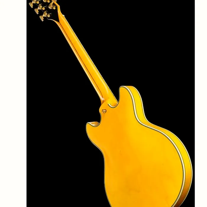DAngelico Excel Mini DC Amber – photo 11