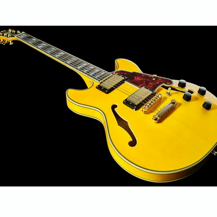 DAngelico Excel Mini DC Amber – photo 12