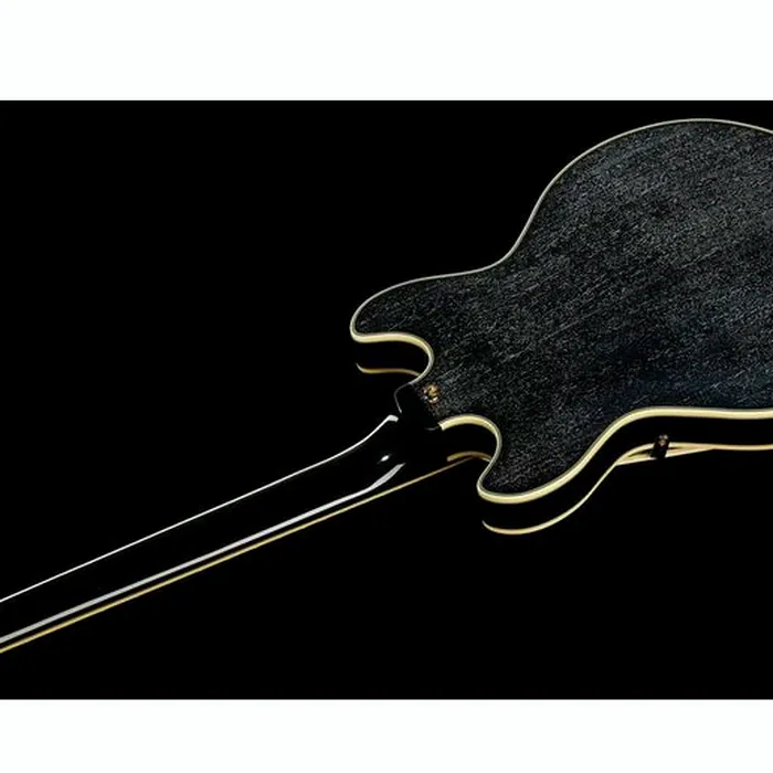 DAngelico Excel Mini DC Black Dog – photo 10