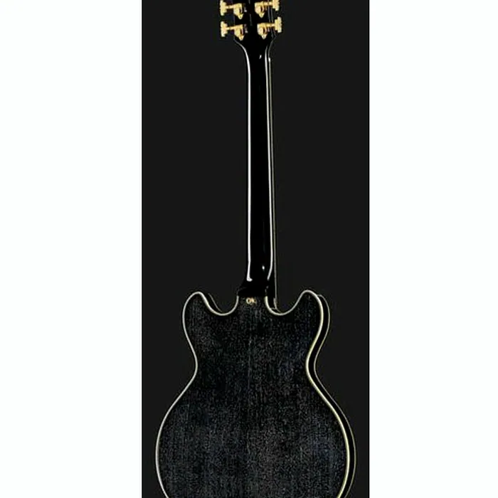 DAngelico Excel Mini DC Black Dog – photo 5
