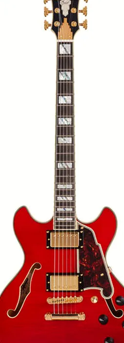 DAngelico Excel Mini DC Cherry