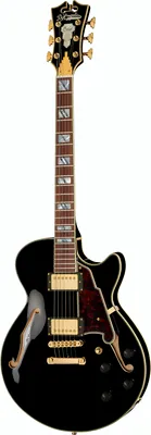 DAngelico Excel SS Black
