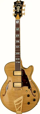 DAngelico Excel SS Natural Stairstep T