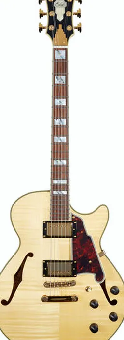 DAngelico Excel SS Natural