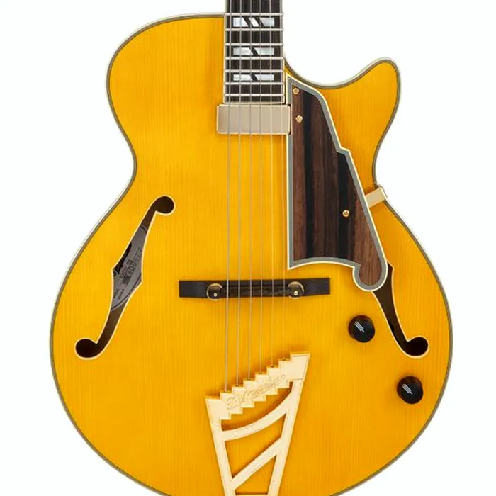 DAngelico Excel SS Soho Amber – photo 6