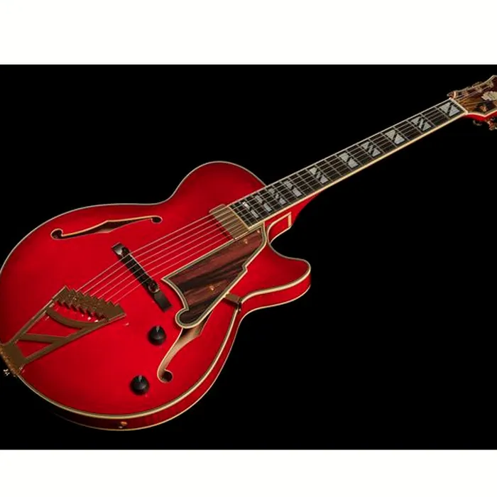DAngelico Excel SS Soho Dark Cherry Burs – photo 11