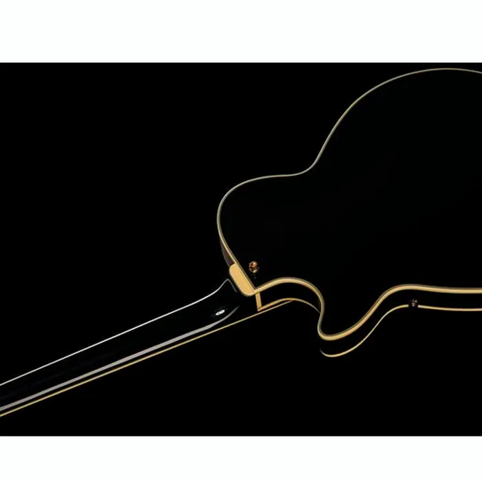 DAngelico Excel SS Solid Black – photo 10