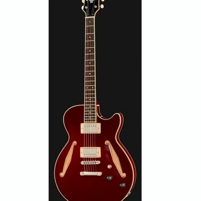 DAngelico Excel SS Tour Collection SW – photo 4