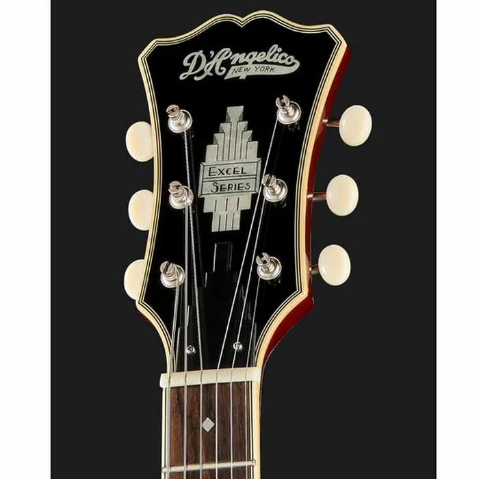DAngelico Excel SS Tour Collection SW – photo 8