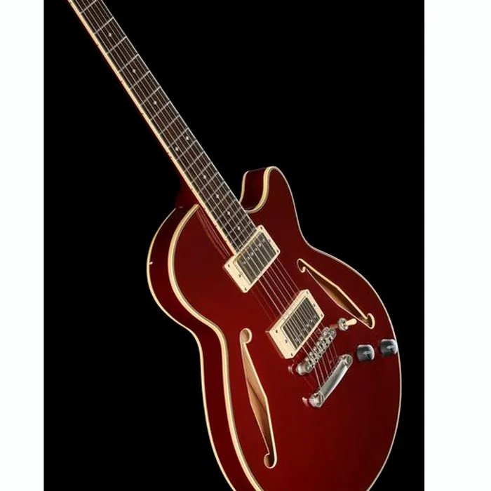 DAngelico Excel SS Tour Collection SW – photo 12
