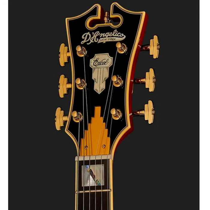 DAngelico Excel SS Trans Cherry – photo 8