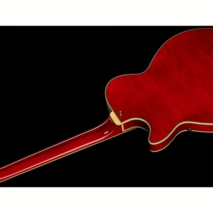 DAngelico Excel SS Trans Cherry – photo 10