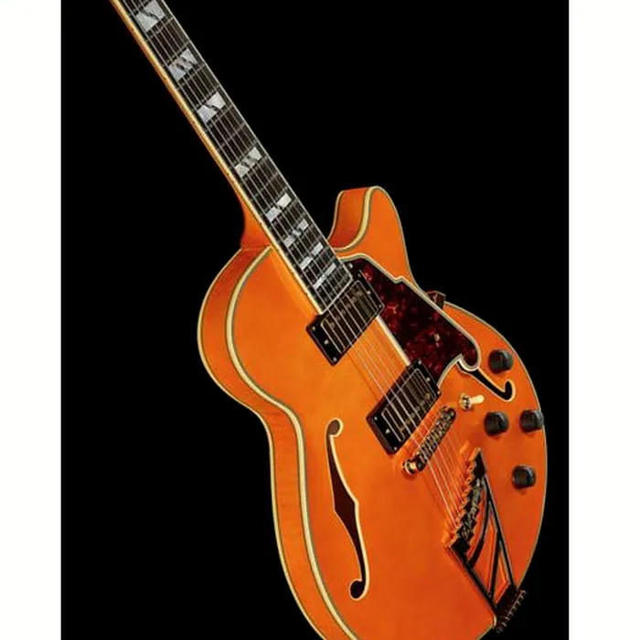 DAngelico Excel SS Vintage Natural – photo 12