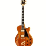 Guitare électrique DAngelico Excel SS Vintage Natural Test, Avis & Comparatif