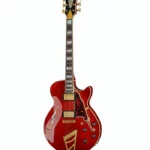 DAngelico Excel SS Viola (Guitare électrique) / Test, Avis & Comparatif