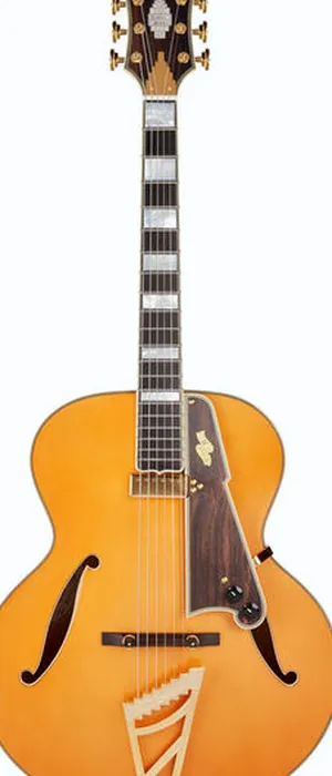 DAngelico Excel Style B Vintage Natural