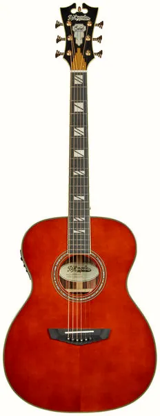 DAngelico Excel Tammany Auburn