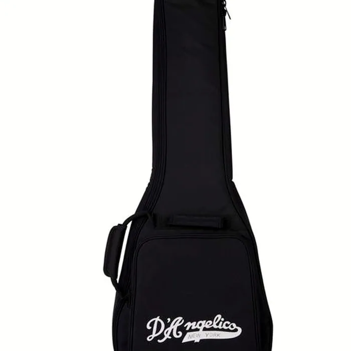 DAngelico Premier Atlantic Sky Blue – photo 8