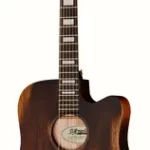 Guitare acoustique DAngelico Premier Bowery ANM | Test, Avis & Comparatif