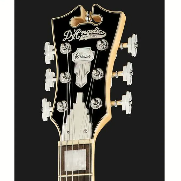 DAngelico Premier Brighton Black Flake – photo 8