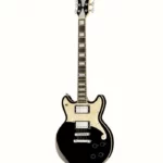 DAngelico Premier Brighton Black Flake (Guitare électrique) – Test, Avis & Comparatif