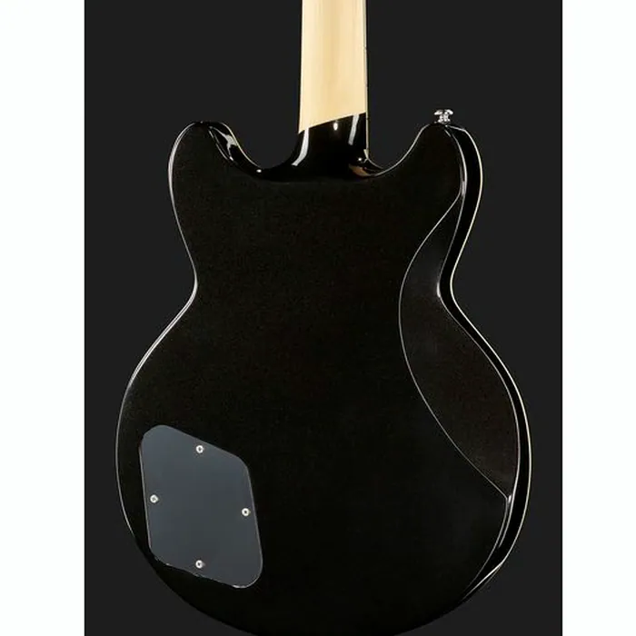 DAngelico Premier Brighton Black Flake – photo 7