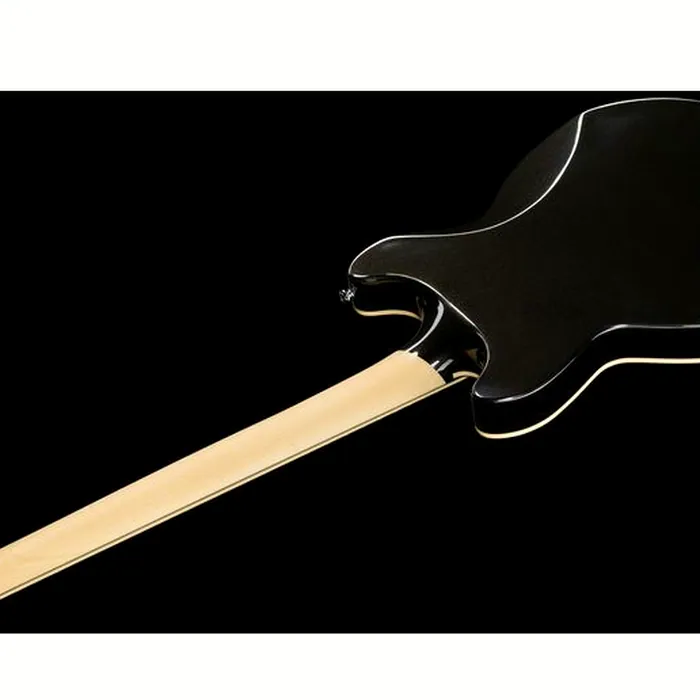 DAngelico Premier Brighton Black Flake – photo 10