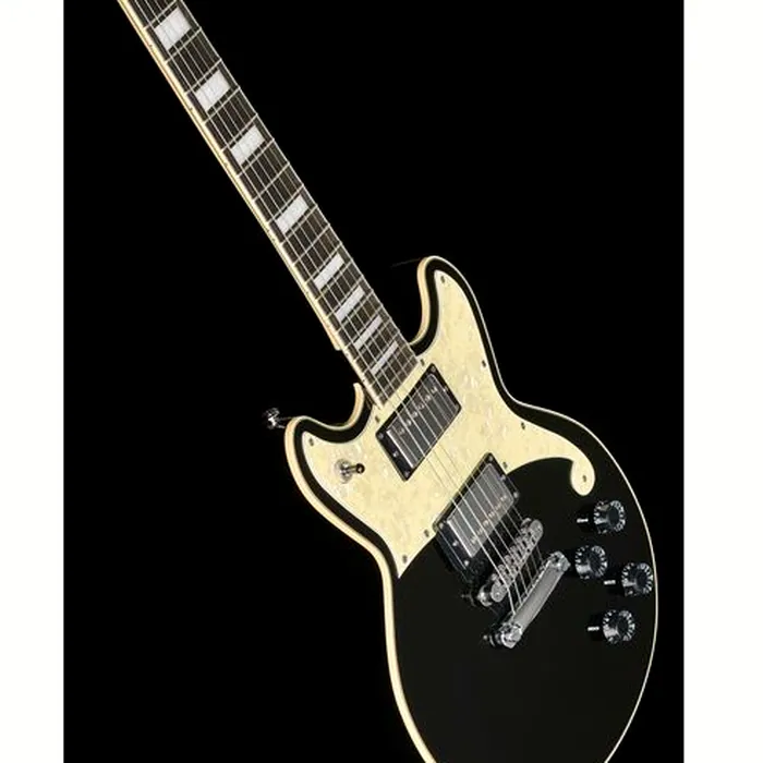 DAngelico Premier Brighton Black Flake – photo 12
