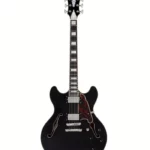 La guitare électrique DAngelico Premier DC Black Flake V2 : Test, Avis, Comparatif