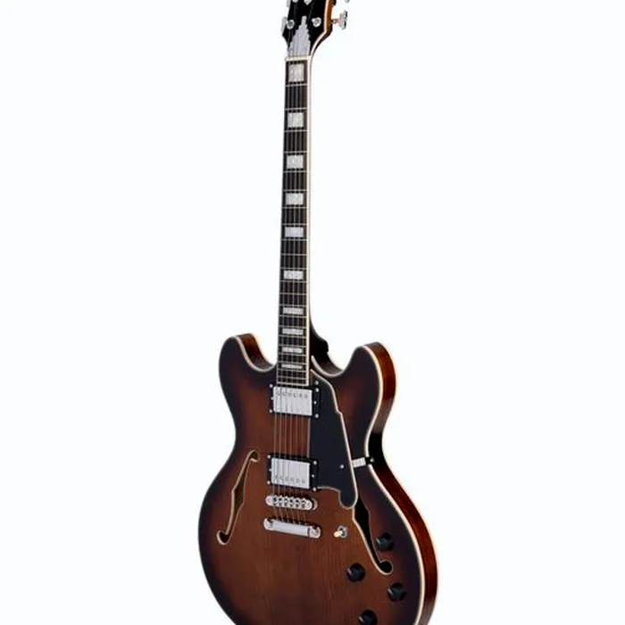 DAngelico Premier DC Brown Burst – photo 5