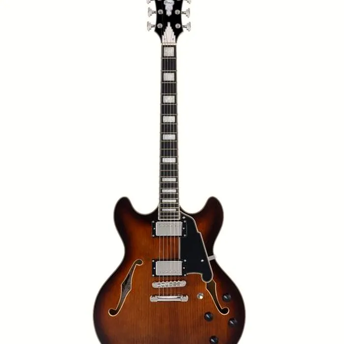 DAngelico Premier DC Brown Burst – photo 2